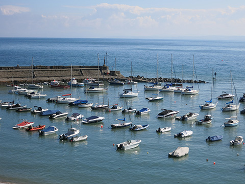 Harbour at New Quay
