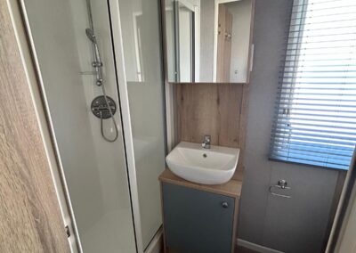 Main shower room with under sink cupboard, mirrored cabinet, thermostatic shower and wc