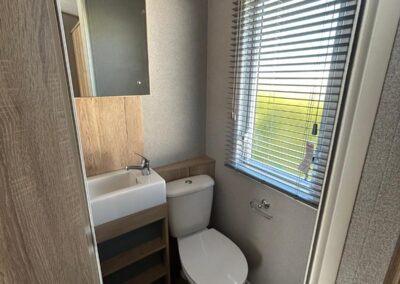 En suite WC with mirrored cabinet and light wooden vanity shelving under sink